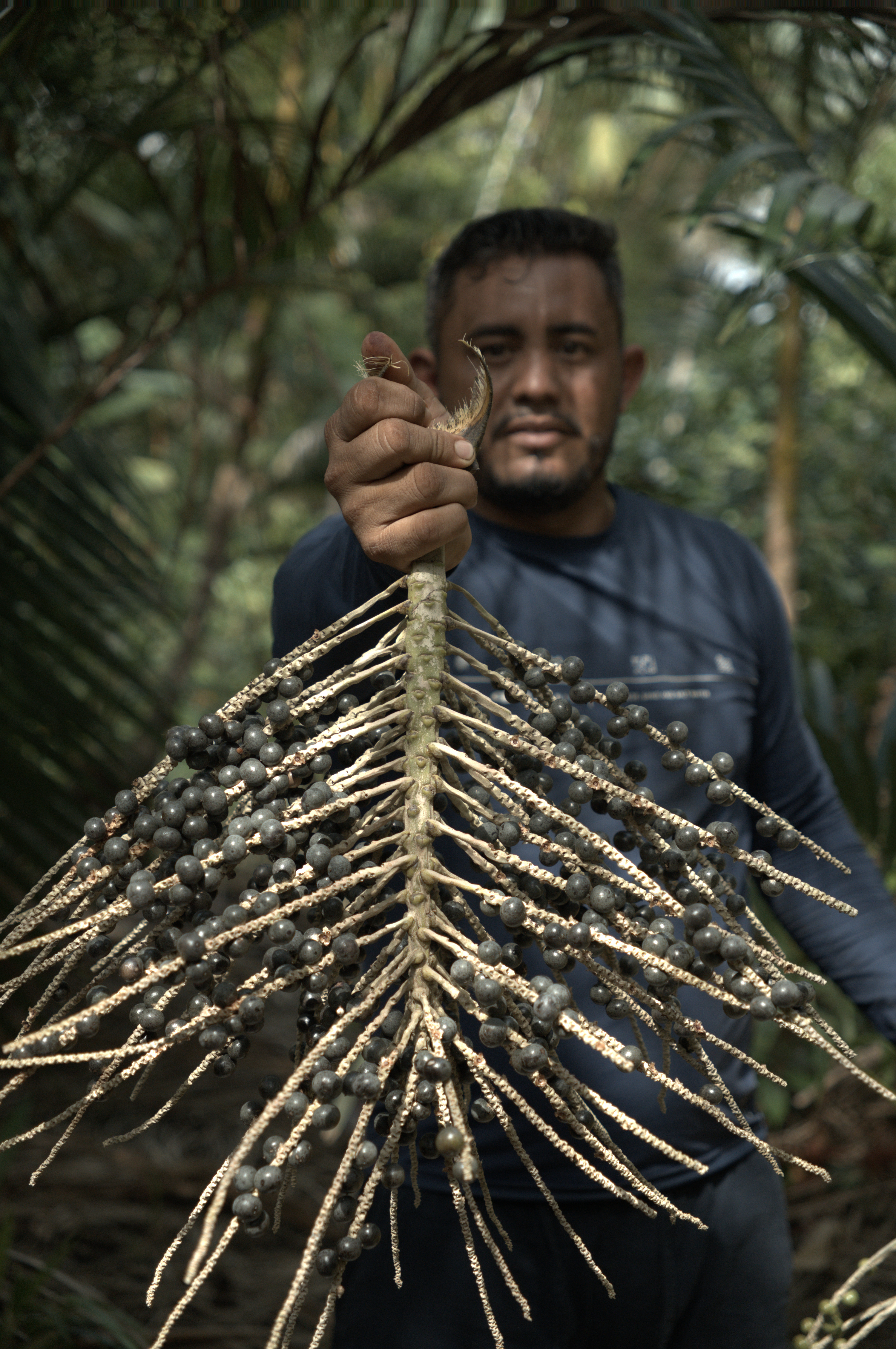 Produtor familiar da cooperativa CAEPIM no campo