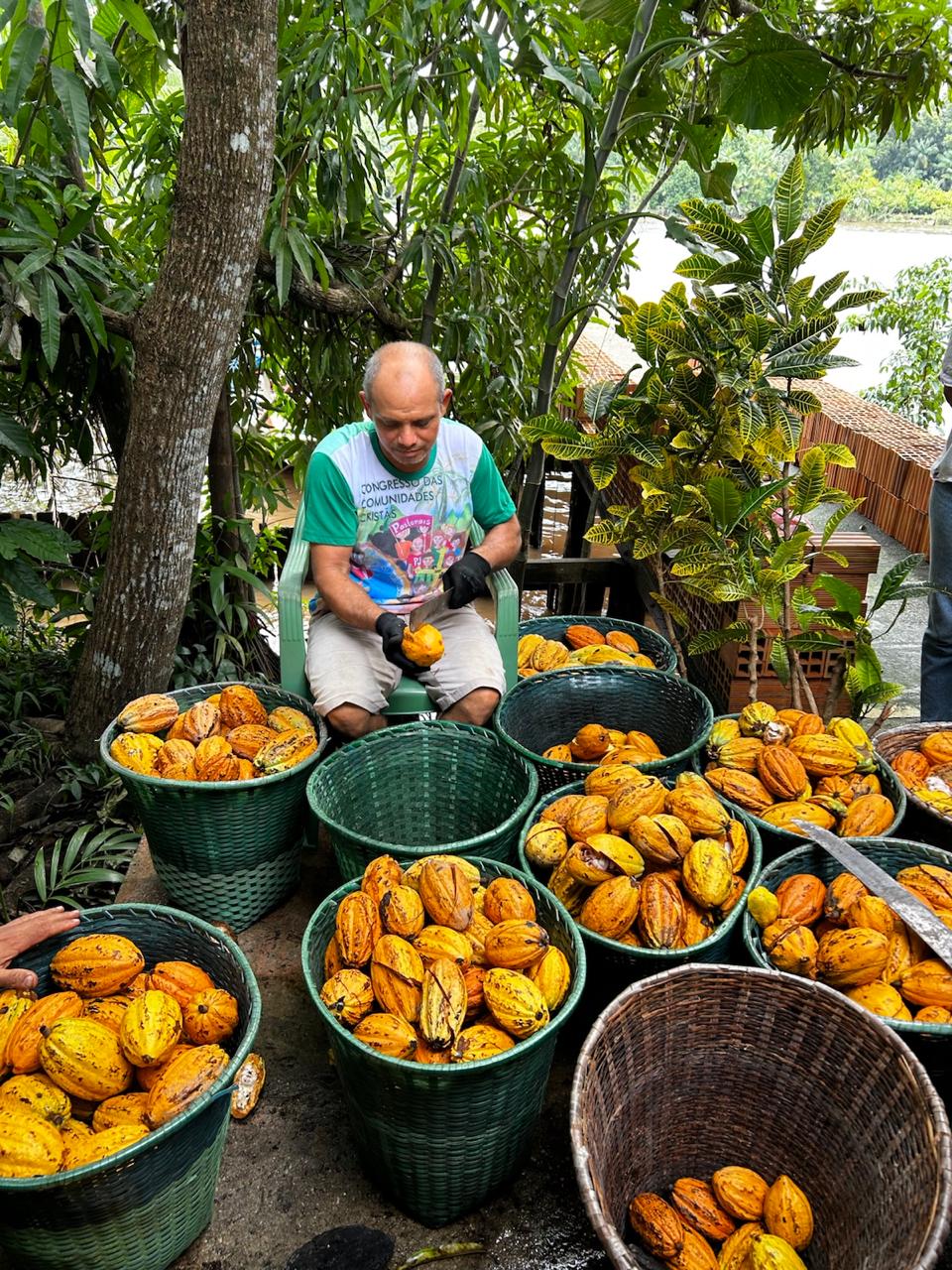 Produtor familiar da cooperativa CAEPIM no campo